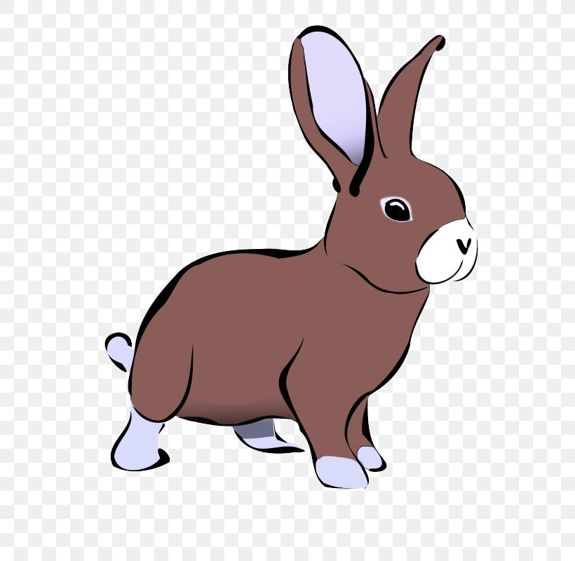 Rabbit Cartoon Rabbits And Hares Hare Snout, PNG, 566x800px, Rabbit, Animal Figure, Animation, Cartoon, Hare Download Free