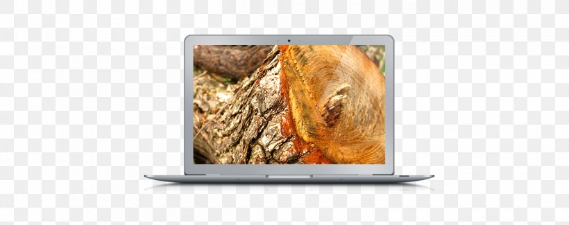 Television Photography, PNG, 1260x500px, Television, Media, Photography, Technology Download Free