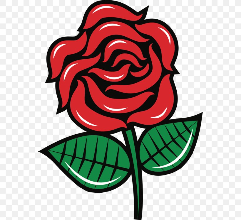 Vector Graphics Clip Art Illustration Rose, PNG, 561x750px, Rose, Black Rose, Botany, Cut Flowers, Drawing Download Free