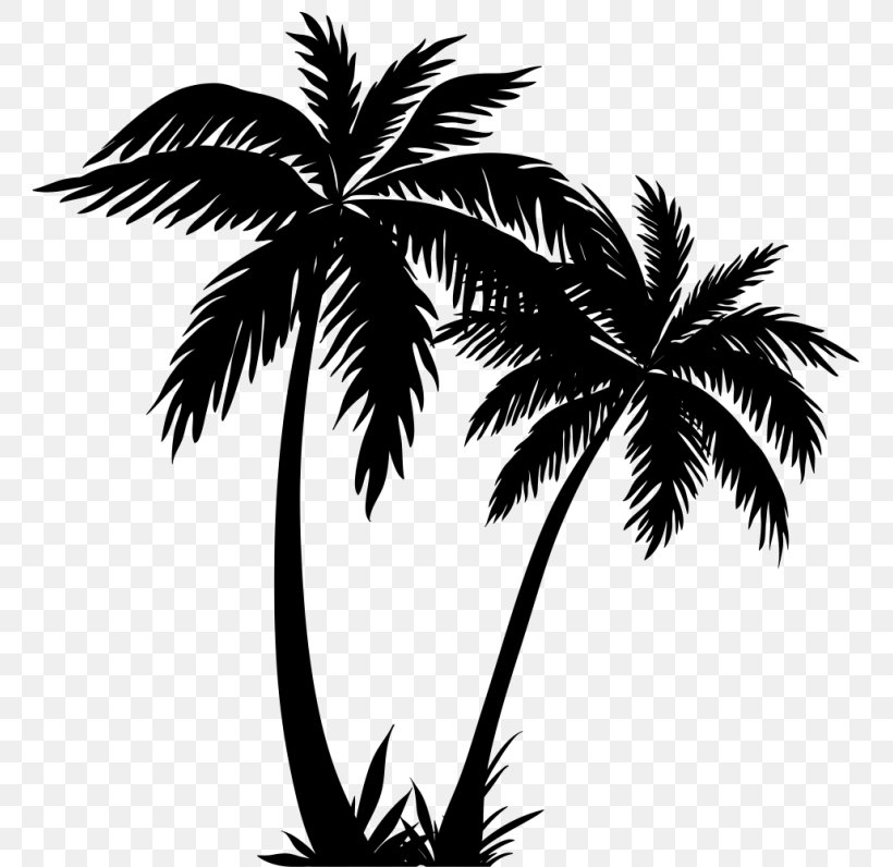 Arecaceae Silhouette Clip Art, PNG, 768x796px, Arecaceae, Arecales, Black And White, Borassus Flabellifer, Branch Download Free