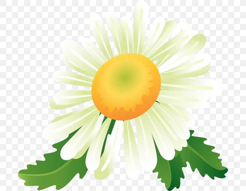 Digital Image Clip Art, PNG, 700x637px, Digital Image, Daisy, Daisy Family, Dandelion, Flower Download Free