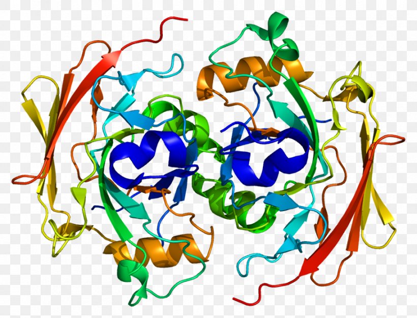 Protein Receptor Kinase Enzyme Fumarylacetoacetate Hydrolase, PNG, 912x696px, Watercolor, Cartoon, Flower, Frame, Heart Download Free