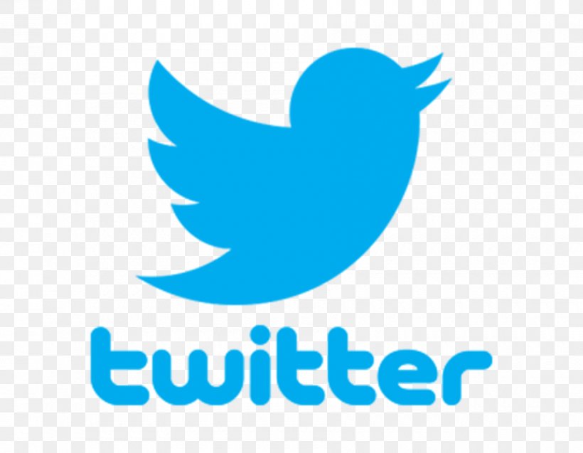 Social Media Twitter Blog User, PNG, 900x700px, Social Media, Android, Application Programming Interface, Beak, Blog Download Free