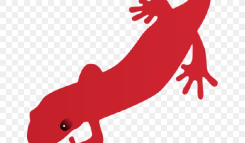 Fire Salamander Newt Clip Art Vertebrate, PNG, 640x480px, Salamander, Amphibian, Amphibians, Bluespotted Salamander, Chinese Giant Salamander Download Free