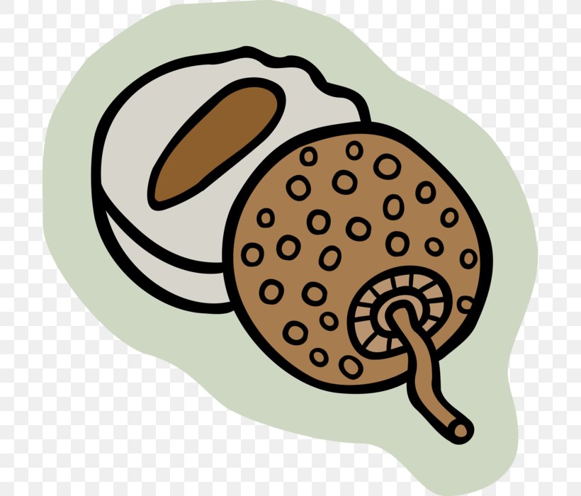 Snail Product Clip Art, PNG, 699x700px, Snail, Food, Organism, Snails And Slugs Download Free