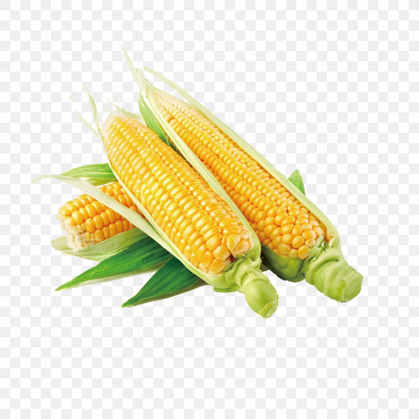 Chicha Waxy Corn Vegetable Vegetal Food, PNG, 1500x1500px, Chicha, Commodity, Corn Kernel, Corn Kernels, Corn On The Cob Download Free