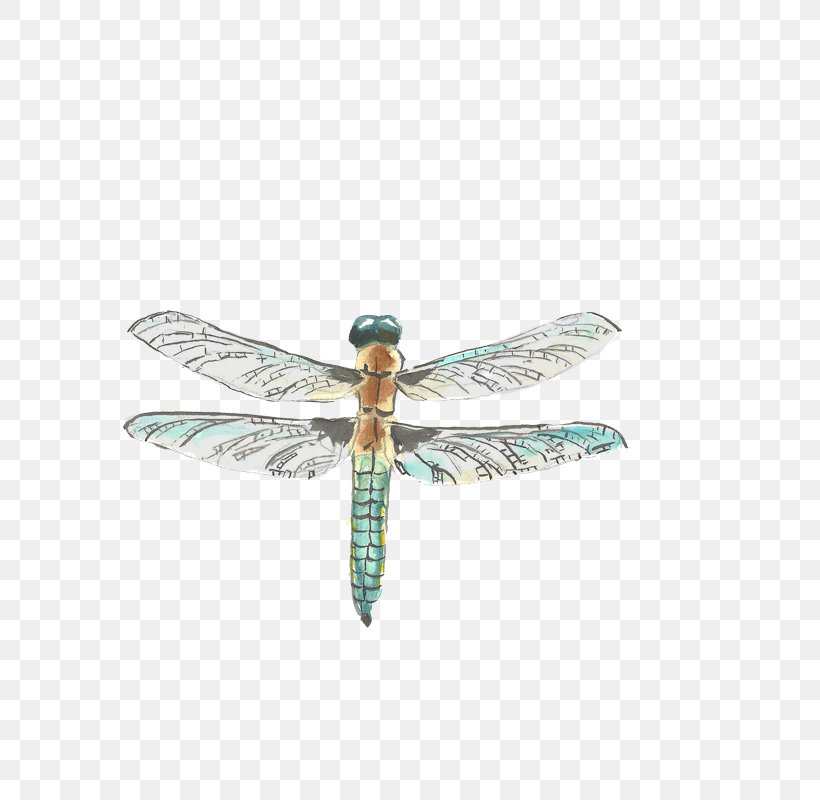 Insect Dragonfly Drawing Watercolor Painting, PNG, 800x800px, Insect, Dragonflies And Damseflies, Dragonfly, Drawing, Dwg Download Free