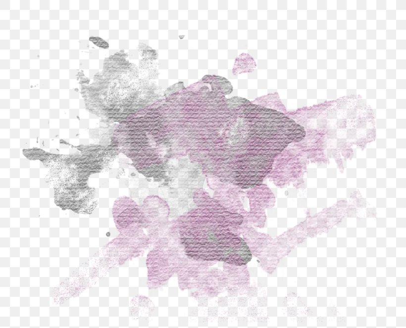 Lavender, PNG, 800x663px, White, Flower, Lavender, Leaf, Lilac Download Free