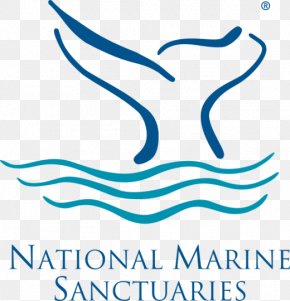 Sea - Monterey Bay National Marine Sanctuary Stellwagen Bank National Marine Sanctuary National Marine Sanctuary Of American Samoa Olympic Coast National Marine Sanctuary Channel Islands National Marine Sanctuary PNG