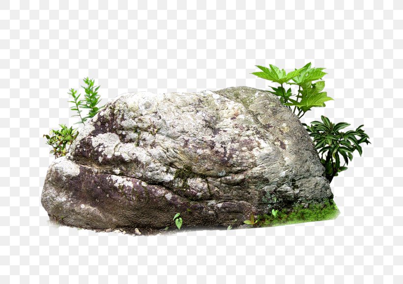 Rock Stone, PNG, 800x578px, Rock, Boulder, Digital Image, Flowerpot, Grass Download Free