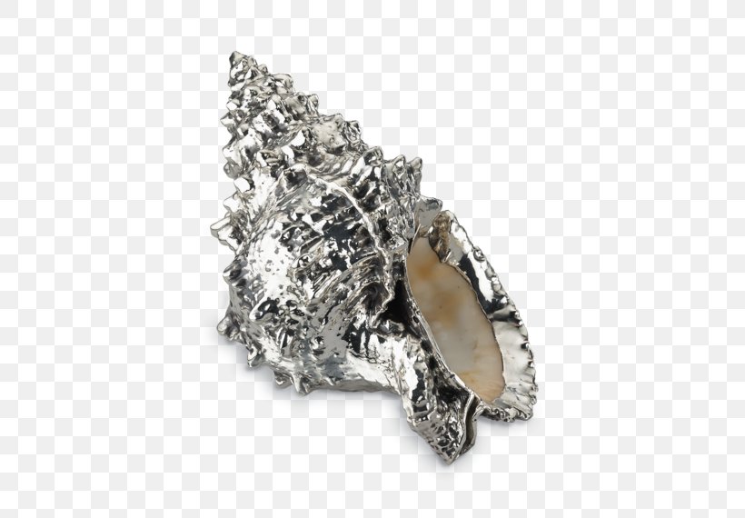 Silver Jewellery Buccellati Metal Seashell, PNG, 570x570px, Silver, Bowl, Buccellati, Centrepiece, Charonia Download Free