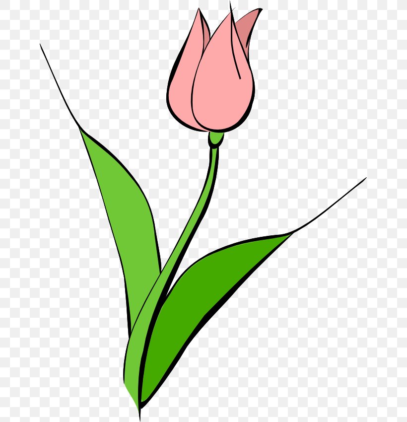 Tulipa Gesneriana Free Content Flower Clip Art, PNG, 659x850px, Tulipa Gesneriana, Artwork, Blog, Cut Flowers, Drawing Download Free