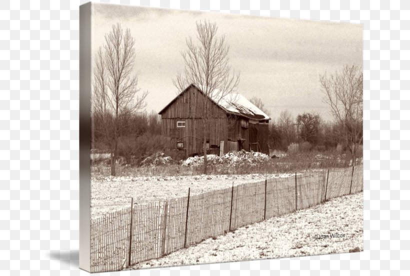 Wood /m/083vt Snow Tree White, PNG, 650x552px, Wood, Barn, Black And White, Cottage, Dagens Nyheter Download Free