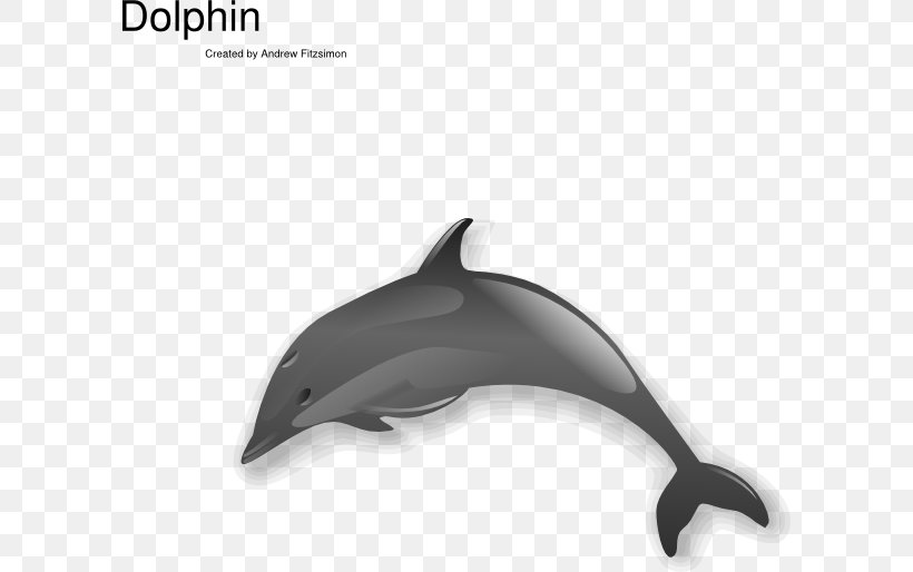 Dolphin Free Content Clip Art, PNG, 600x514px, Dolphin, Blog, Bottlenose Dolphin, Cetacea, Chinese White Dolphin Download Free