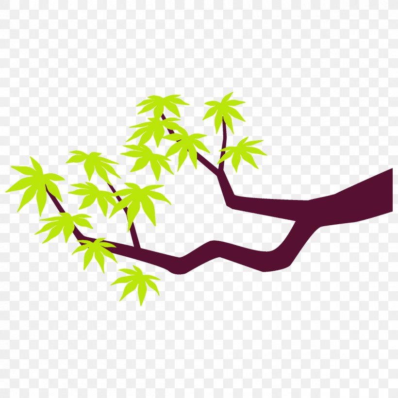 Maple Branch Maple Leaves Maple Tree, PNG, 1200x1200px, Maple Branch, Branch, Leaf, Maple Leaves, Maple Tree Download Free