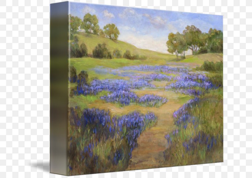 Watercolor Painting Acrylic Paint Gallery Wrap, PNG, 650x580px, Painting, Acrylic Paint, Acrylic Resin, Art, Bluebonnet Download Free