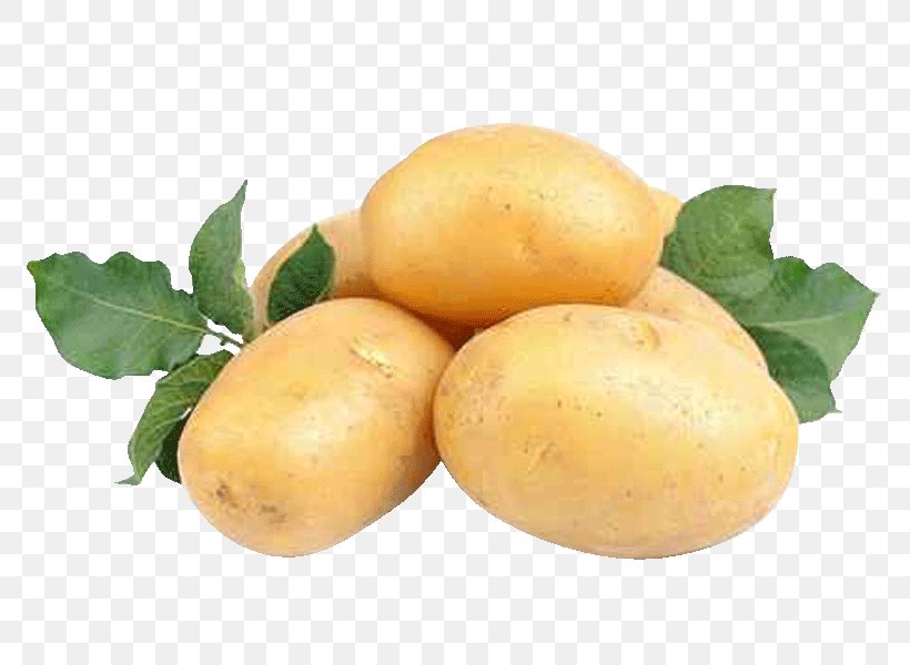 Yukon Gold Potato Natural Foods Tuber Lemon, PNG, 800x600px, Yukon Gold Potato, Citrus, Food, Fruit, Lemon Download Free