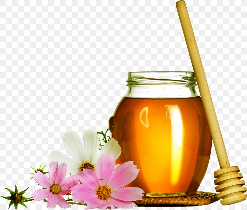 Honey Bee Honey Bee Chrysanthemum Tea Juice, PNG, 3830x3269px, Bee, Alternative Medicine, Beehive, Chrysanthemum Tea, Dried Fruit Download Free