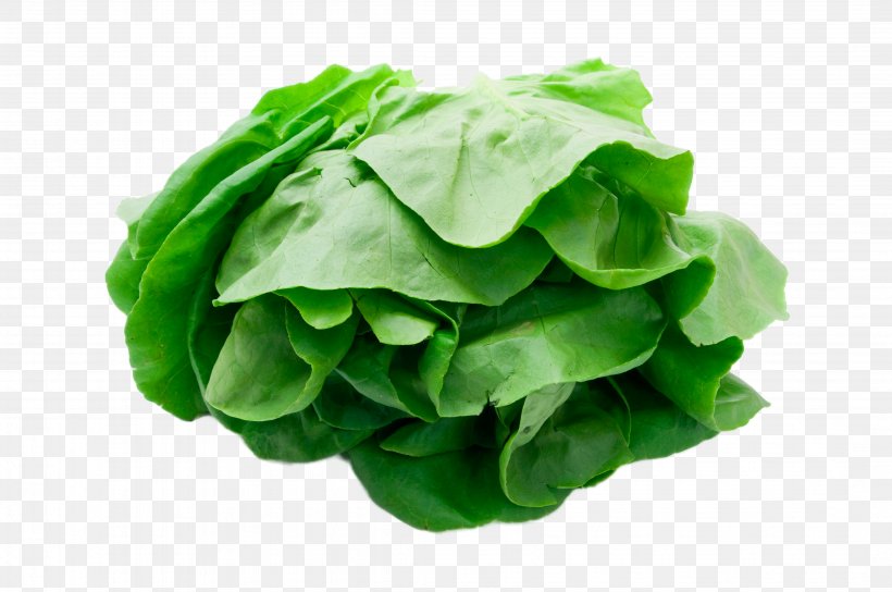 Romaine Lettuce Vegetable, PNG, 4288x2848px, Romaine Lettuce, Chard, Choy Sum, Collard Greens, Cruciferous Vegetables Download Free