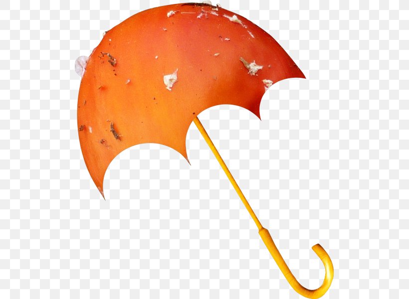Umbrella Orange Clip Art, PNG, 519x600px, 3d Computer Graphics, Umbrella, Animaatio, Color, Drawing Download Free