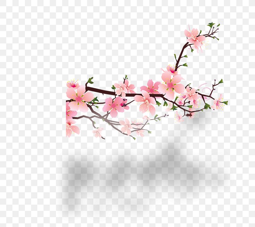Blossom Peach Clip Art, PNG, 711x732px, Blossom, Branch, Cherry, Cherry Blossom, Floral Design Download Free