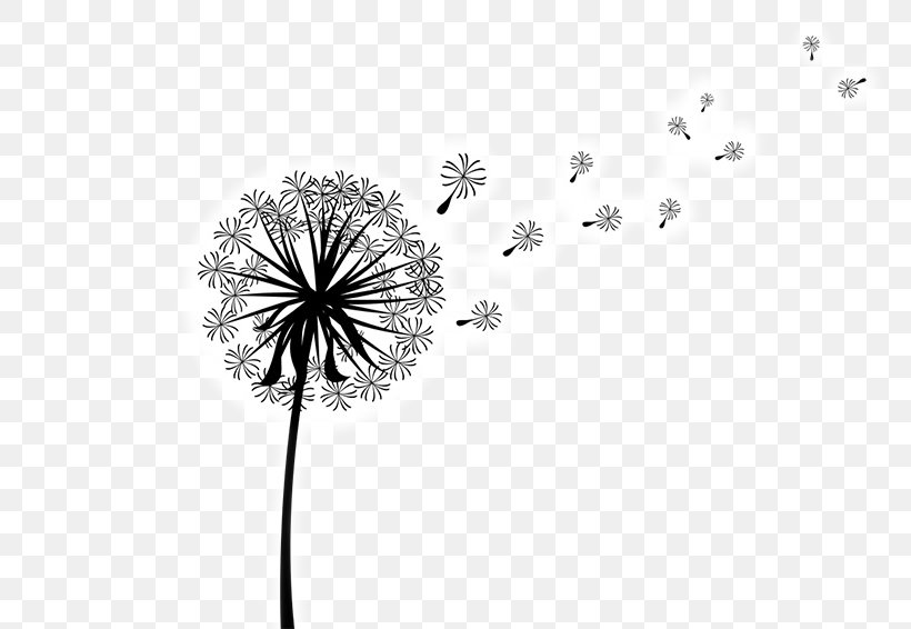 Clip Art Image Vector Graphics Dandelion Coffee, PNG, 800x566px, Dandelion, Art, Black And White, Cartoon, Color Download Free