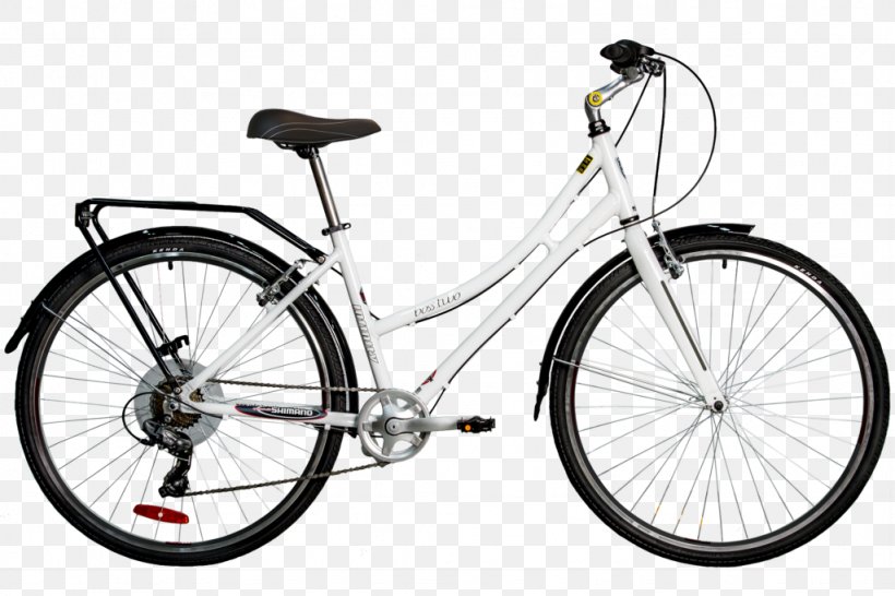 Cruiser Bicycle Hybrid Bicycle Mountain Bike Schwinn Bicycle Company, PNG, 1024x683px, Bicycle, Bicycle Accessory, Bicycle Drivetrain Part, Bicycle Frame, Bicycle Frames Download Free