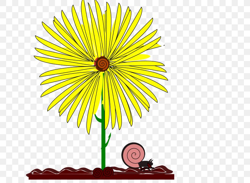 Flower Drawing Yellow Clip Art, PNG, 800x600px, Flower, Chrysanths, Common Daisy, Common Sunflower, Cut Flowers Download Free