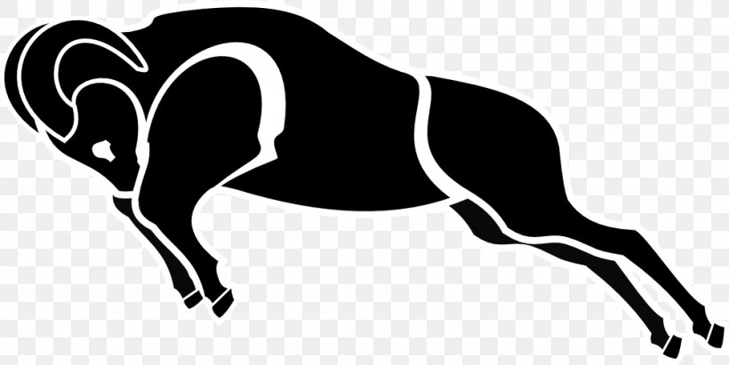 Mustang Halter Pack Animal Silhouette Clip Art, PNG, 1000x502px, 2019 Ford Mustang, Mustang, Black, Black And White, Black M Download Free