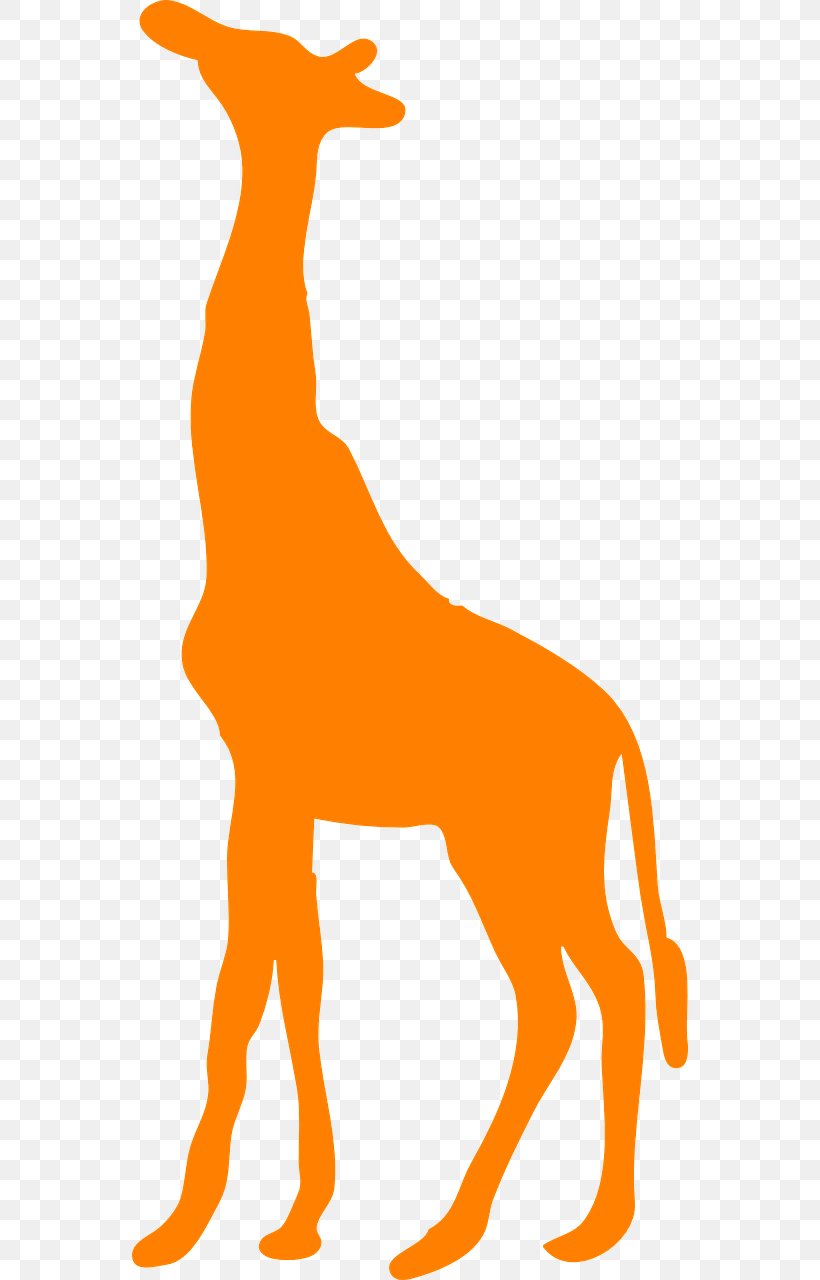 Okapi Decal Sticker West African Giraffe Clip Art, PNG, 640x1280px, Okapi, Animal Figure, Area, Carnivoran, Decal Download Free