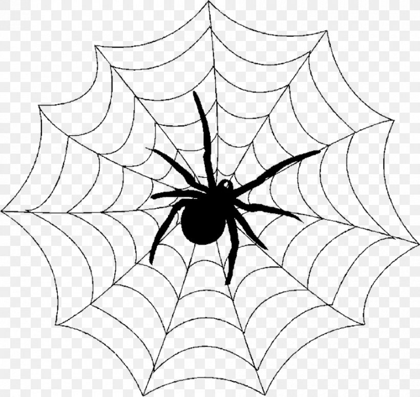 Spider Web Shower Curtain Clip Art, PNG, 900x851px, Spider, Arachnid, Area, Artwork, Bathroom Download Free