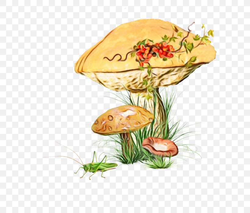 Watercolor Plant, PNG, 700x700px, Watercolor, Agaric, Agaricaceae, Agaricomycetes, Agaricus Download Free