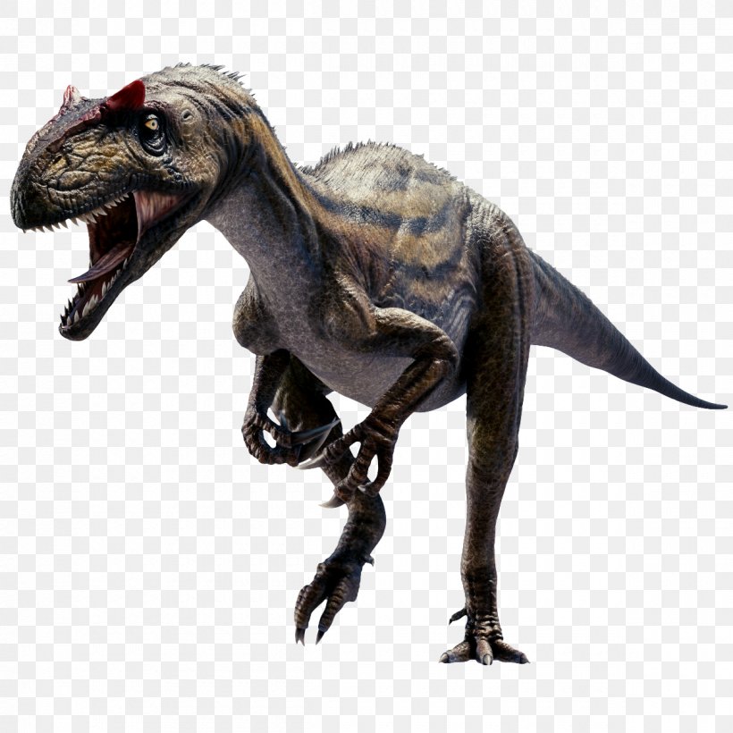 Allosaurus Tyrannosaurus Velociraptor 3D Dinosaur VR, PNG, 1200x1200px, 3d Computer Graphics, 3d Dinosaur Vr, 3d Modeling, Allosaurus, Animation Download Free