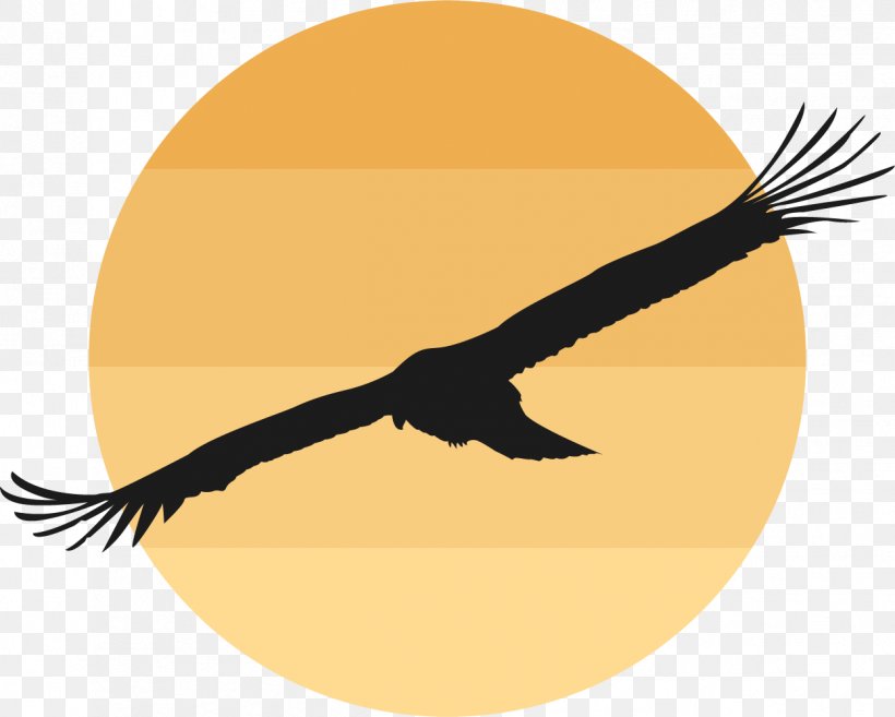 Bird Domestic Goose Clip Art, PNG, 1248x1001px, Bird, Anser, Beak, Bird Of Prey, Domestic Goose Download Free