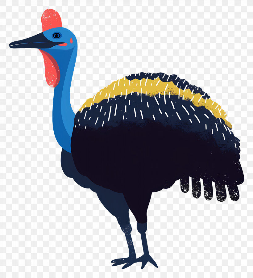 Cassowary - Colorful Cassowary Illustration PNG