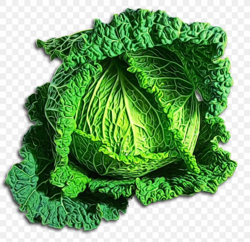 Green Leaf Background, PNG, 1088x1052px, Cabbage, Brussels Sprouts, Cabbage Roll, Cauliflower, Collard Download Free