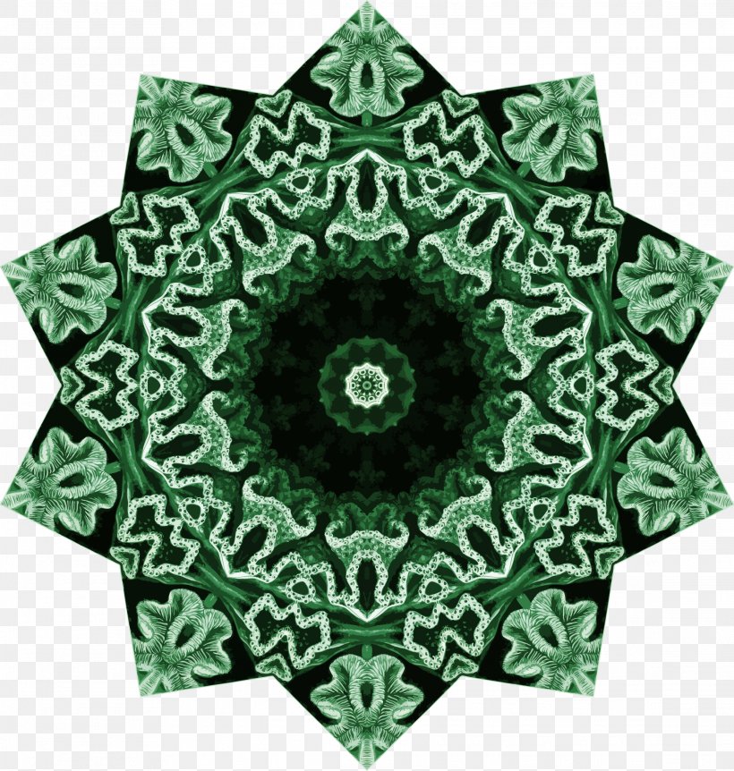 Hexacorallia Symmetry, PNG, 2282x2400px, Coral, Art, Drawing, Ernst Haeckel, Green Download Free