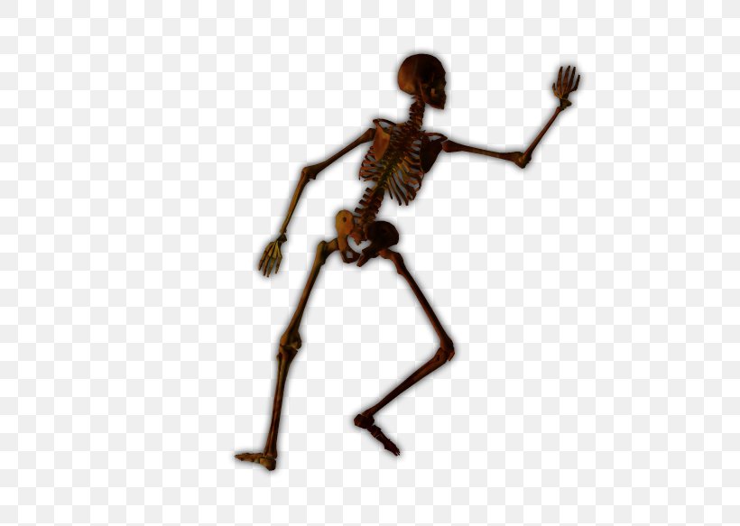 Human Skeleton Joint Bone Figurine, PNG, 558x583px, Skeleton, Bone, Cadaver, Computer Software, Dragon Download Free