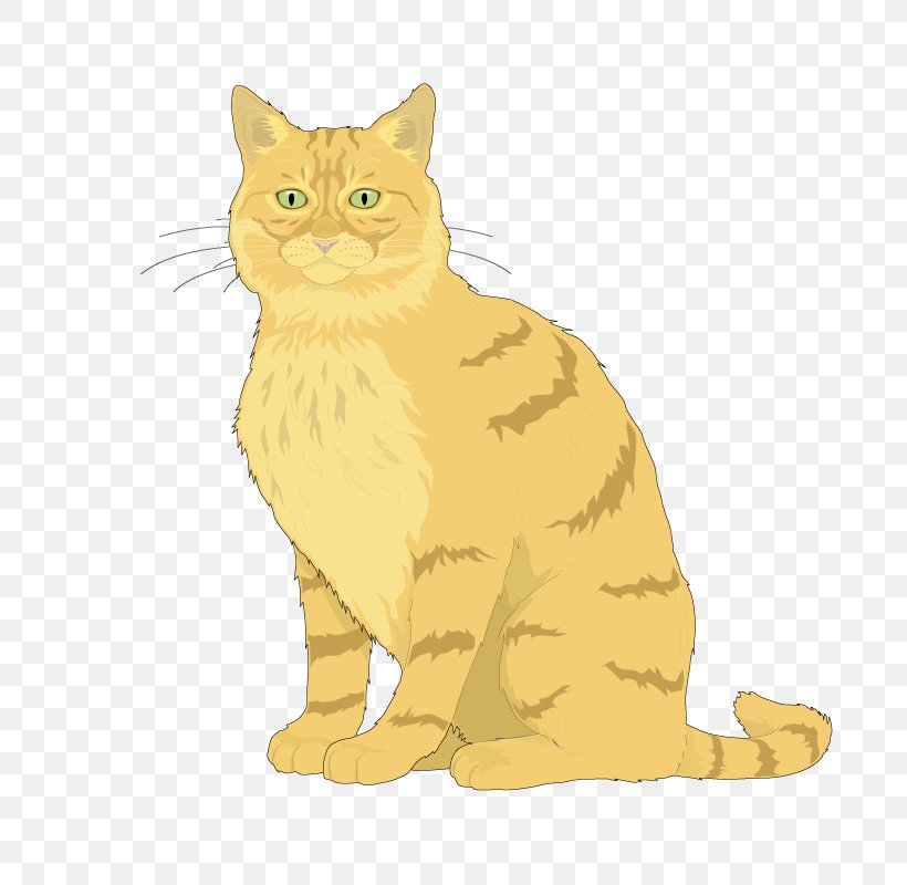 Ragdoll Kitten Euclidean Vector Clip Art, PNG, 800x800px, Ragdoll, Black Cat, Carnivoran, Cat, Cat Like Mammal Download Free