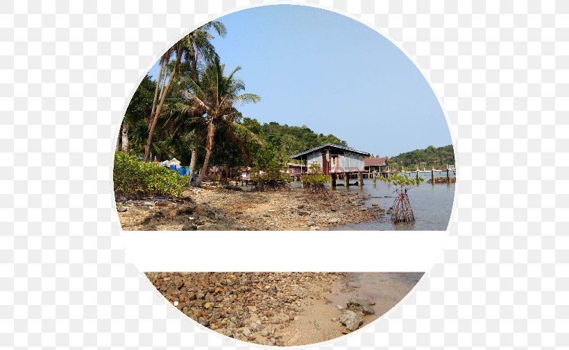 Shore Water Resources Land Lot Vacation Tourism, PNG, 505x505px, Shore, Beach, Land Lot, Real Property, Tourism Download Free