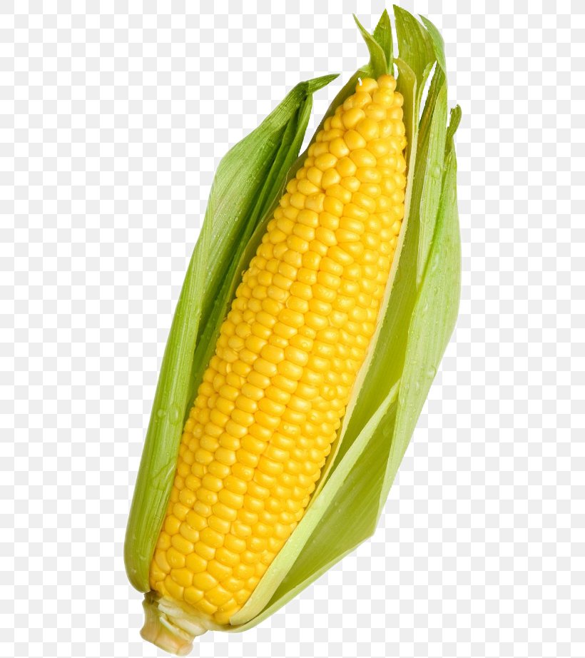 Vegetarian Cuisine Corn On The Cob Vegetable Corn Kernel, PNG, 480x922px, Vegetarian Cuisine, Baby Corn, Commodity, Corn, Corn Kernel Download Free