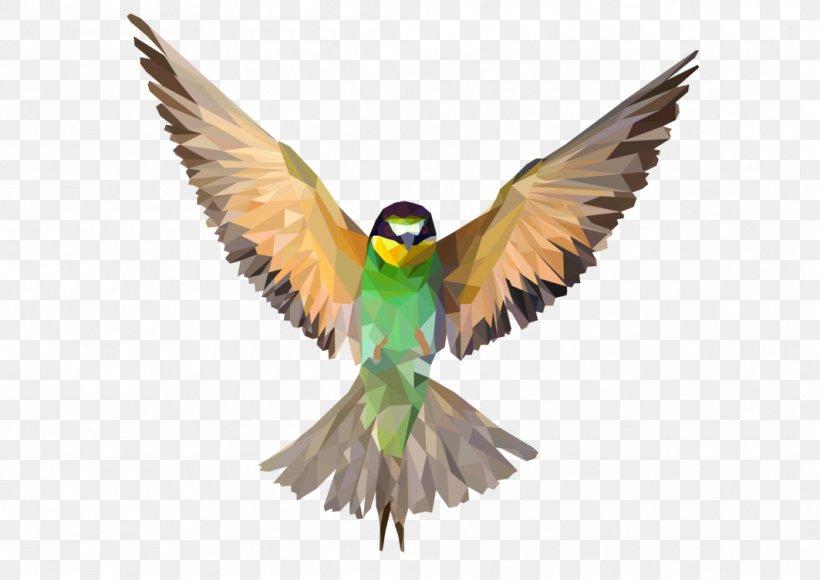 Bird Photography Feather, PNG, 1063x752px, Bird, Animal, Beak, Cartoon, Common Pet Parakeet Download Free