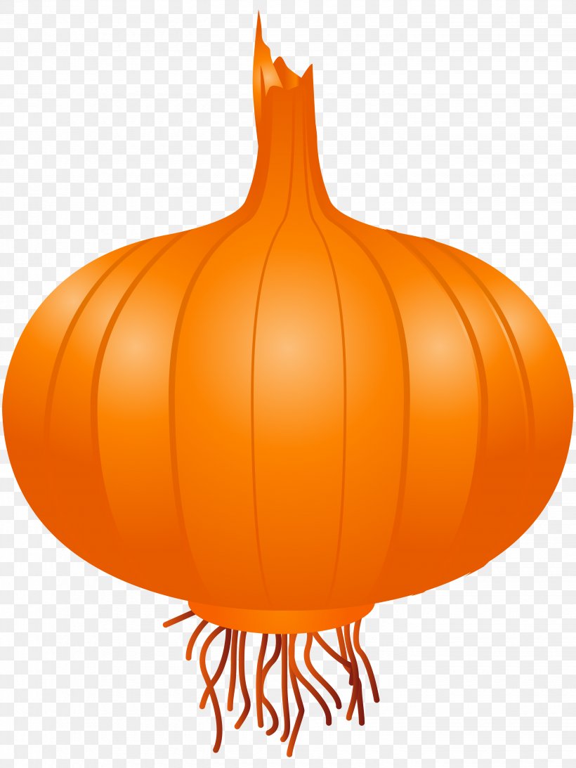 Calabaza Onion Vegetable Clip Art, PNG, 2880x3840px, Calabaza, Creative Commons License, Cucurbita, Food, Fruit Download Free