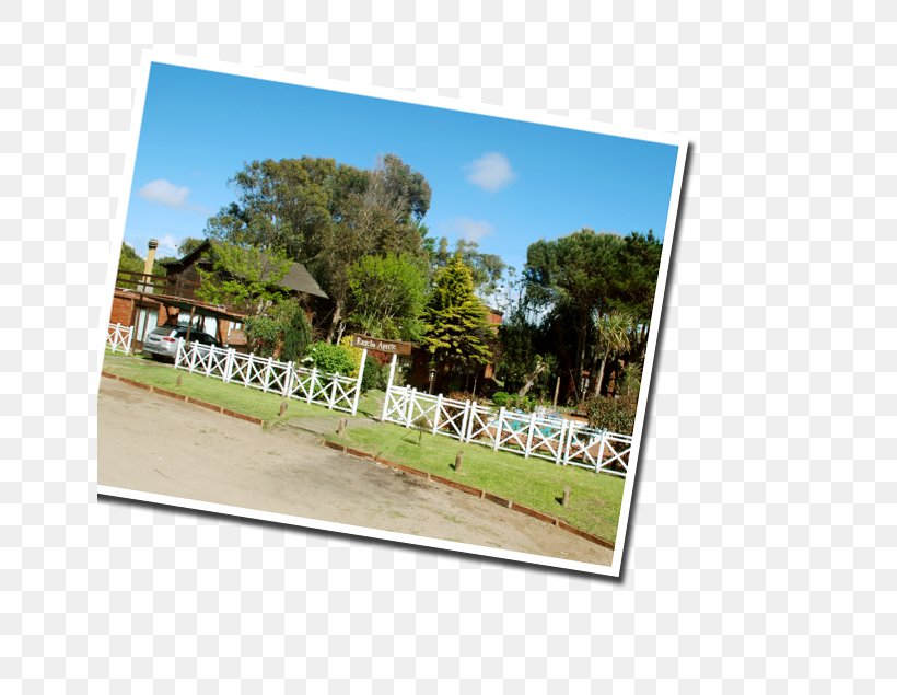 Real Property Land Lot Advertising Picture Frames, PNG, 642x635px, Property, Advertising, Area, Grass, Land Lot Download Free