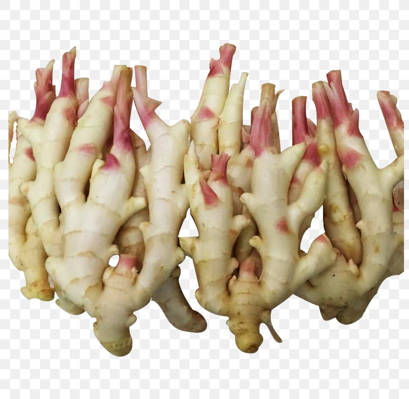 Root Vegetables Ginger Tuber, PNG, 800x800px, Root Vegetables, Animal Source Foods, Chicken Feet, Food, Galangal Download Free