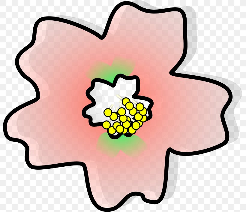 Cherry Blossom Clip Art, PNG, 800x706px, Cherry Blossom, Area, Art, Artwork, Blossom Download Free
