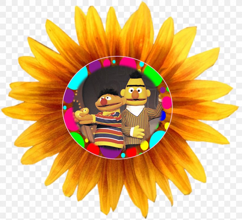 Common Sunflower Clip Art, PNG, 880x800px, Common Sunflower, Daisy Family, Flower, Flowering Plant, Image File Formats Download Free