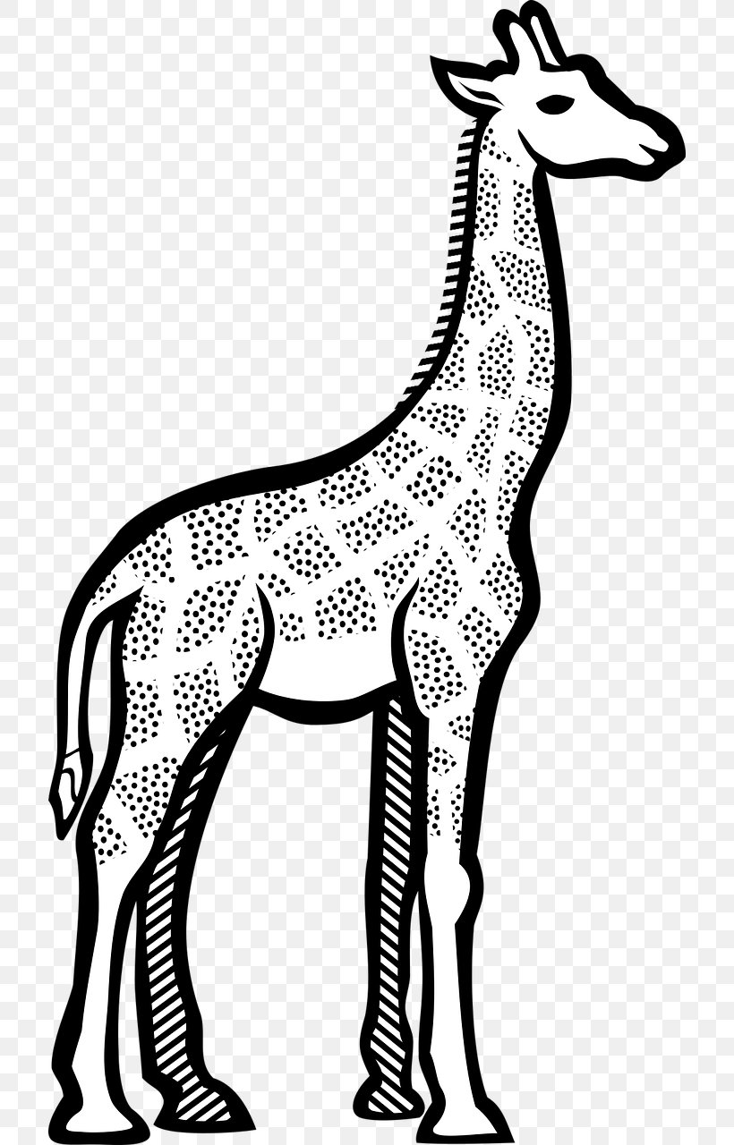 Giraffe Line Art Drawing Clip Art, PNG, 712x1280px, Giraffe, Animal Figure, Art, Artwork, Black And White Download Free