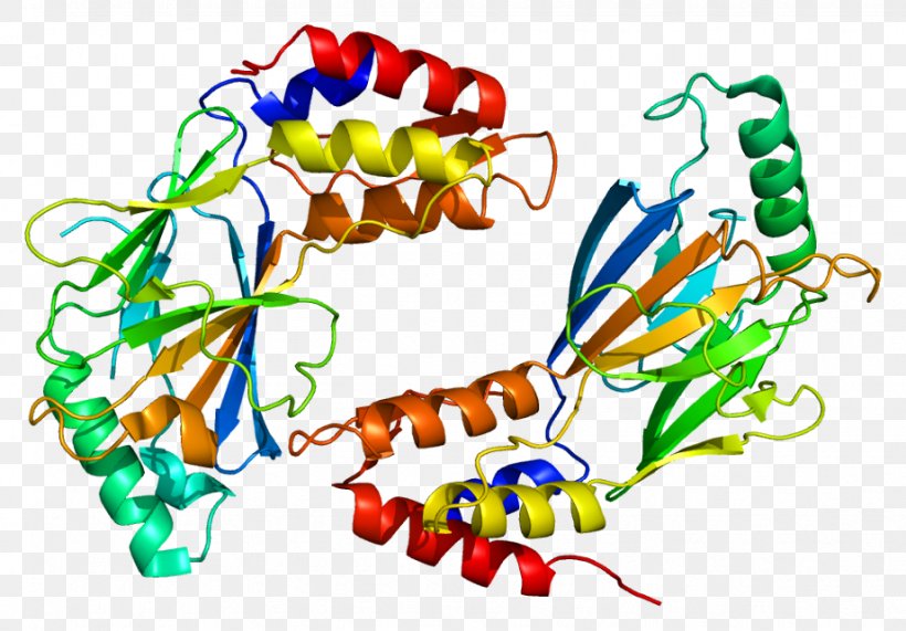 IRF3 Interferon Regulatory Factors IRF8 IRF2, PNG, 921x642px, Interferon, Art, Artwork, Body Jewelry, Crebbinding Protein Download Free