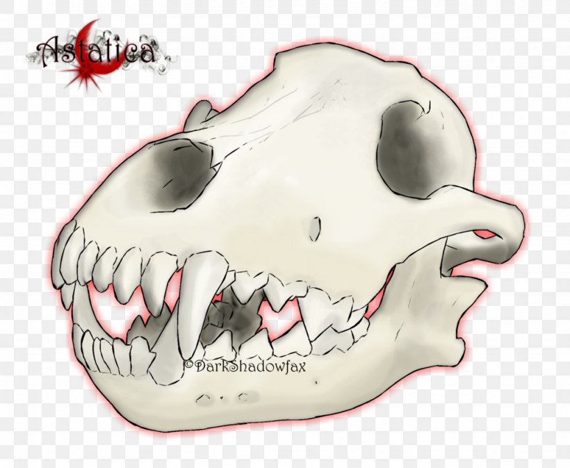 Snout Jaw Mouth Skull Cartoon, PNG, 1024x841px, Snout, Bone, Cartoon, Fish, Head Download Free